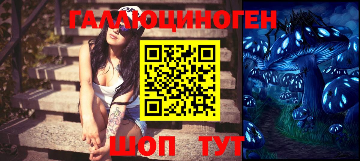 Чайковский  Галлюциногенные грибы GOLDEN TEACHER  Вход с VPN  Галлюциногенные грибы Psilocybine cubensis 