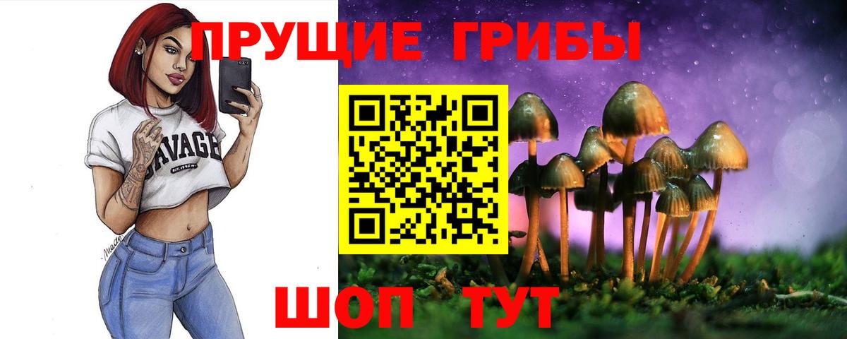 Галлюциногенные грибы Psilocybine cubensis Чайковский